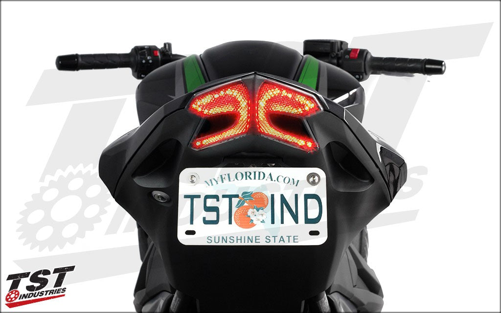 LED Integrated Tail Light | 2013 - 2016 Kawasaki Z800