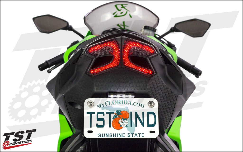 TST LED Integrated Taillight | Kawasaki ZX6R 2013-2018