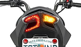 TST LED Integrated Tail Light for Kawasaki Z125 PRO 2017+