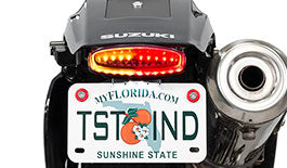 TST LED Integrated Tail Light & Fender Eliminator System for Suzuki DR650 2001+
