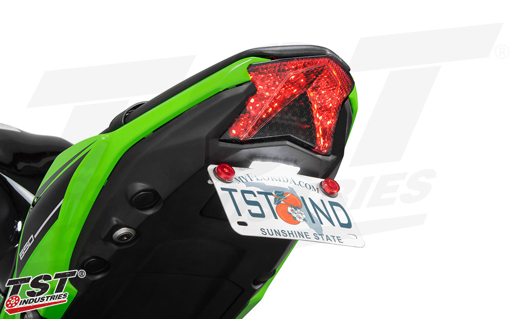 TST LED Integrated Tail Light | Kawasaki Z650 / Ninja 650 2017-2019