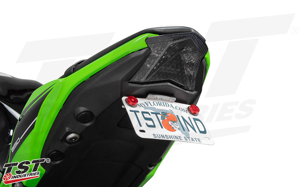 TST LED Integrated Tail Light | Kawasaki Z650 / Ninja 650