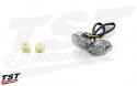 TST LED Clear Flushmount Signals.