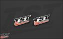 Small TST logo sticker. Measures 2.25 x 1 inches.