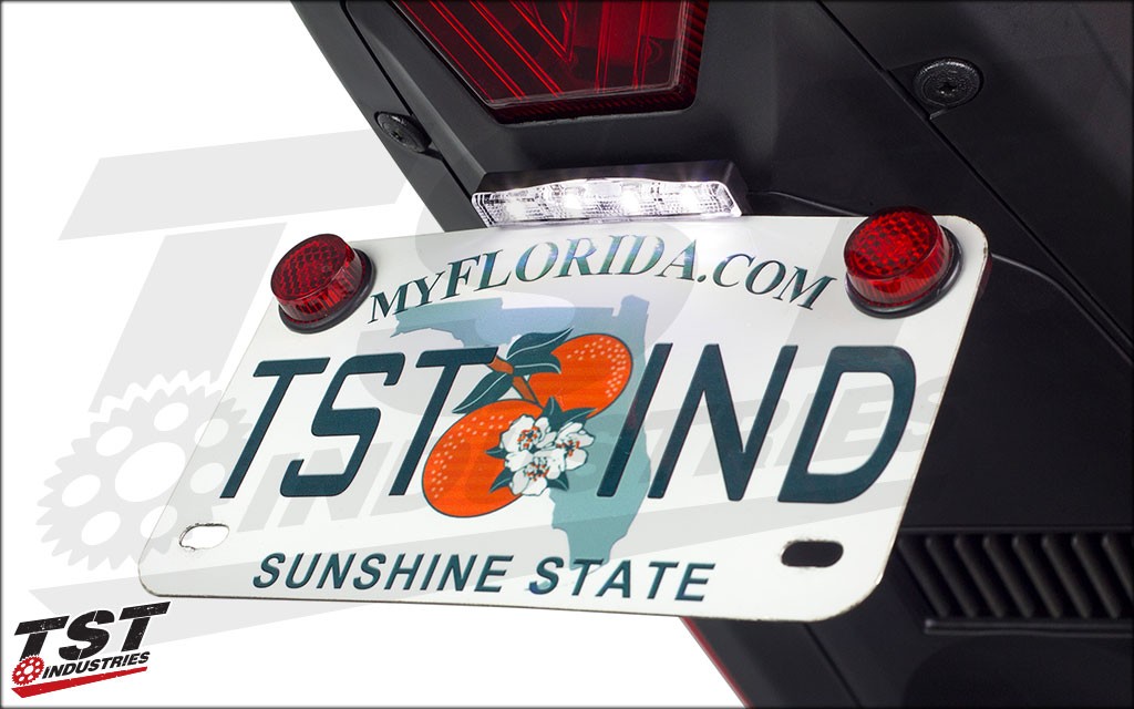 TST Industries LED License Plate Light (optional).