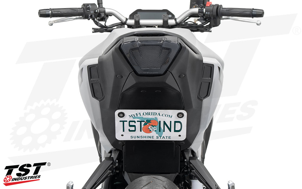 Includes a low mount plate bracket and undertail closeout.