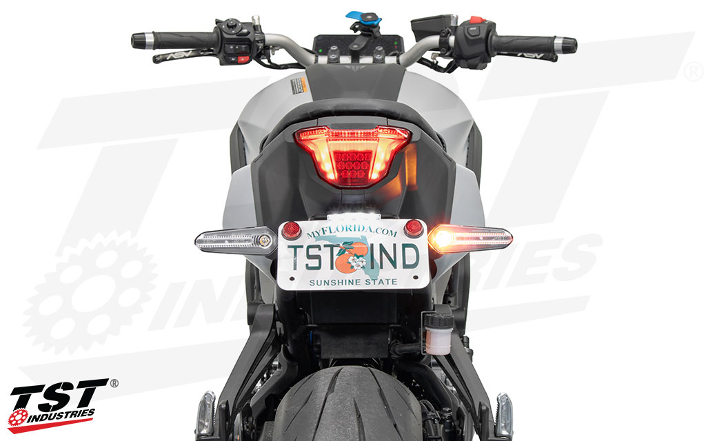 Compatible with the TST Industries Elite-1 High-Mount Fender Elimantor.