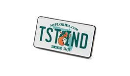 TST Industries Home State Enamel Pin